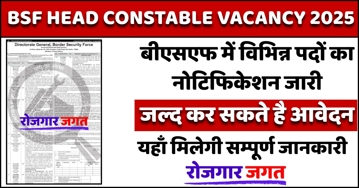 BSF Head Constable Vacancy 2025