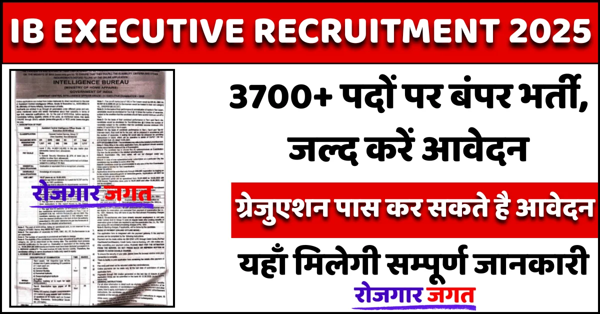 IB Executive Recruitment 2025
