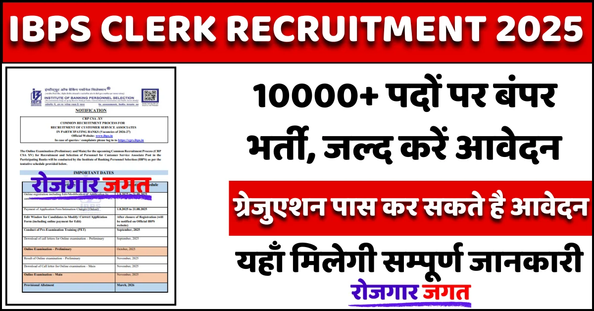 IBPS Clerk Recruitment 2025